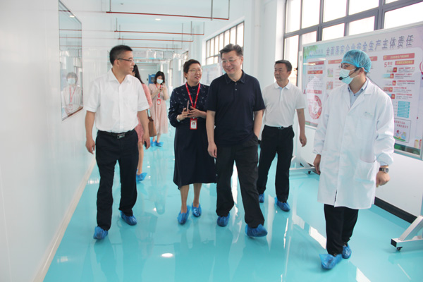 合肥市新站高新区党工委书记、管委会主任路军一行莅临388vip太阳集团调研